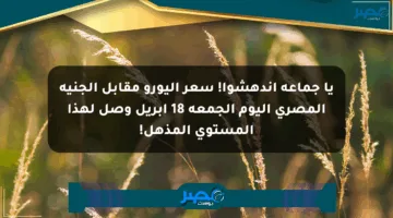 يا جماعة اندهشوا! سعر اليورو مقابل الجنيه المصري اليوم الجمعة 18 أبريل وصل لهذا المستوى المذهل!